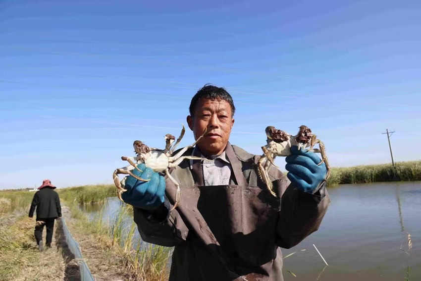 粮渔双收,农户增收(受访者供图)