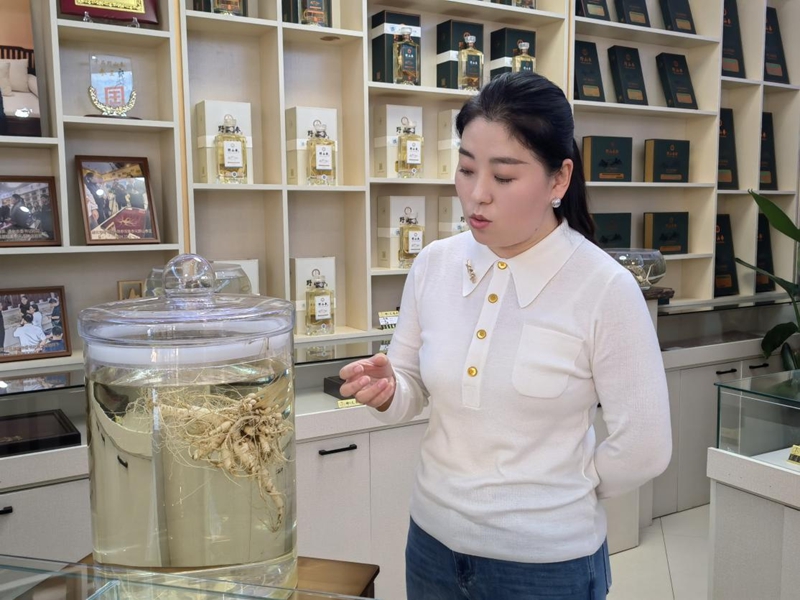 孙宁宇介绍人参酒。人民网记者 马俊华摄