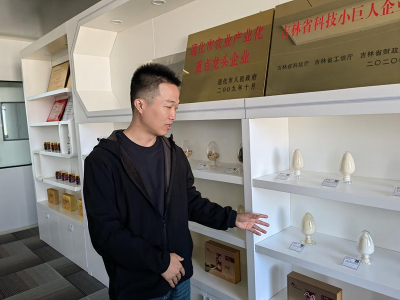 杨国栋介绍人参产品。人民网记者 马俊华摄