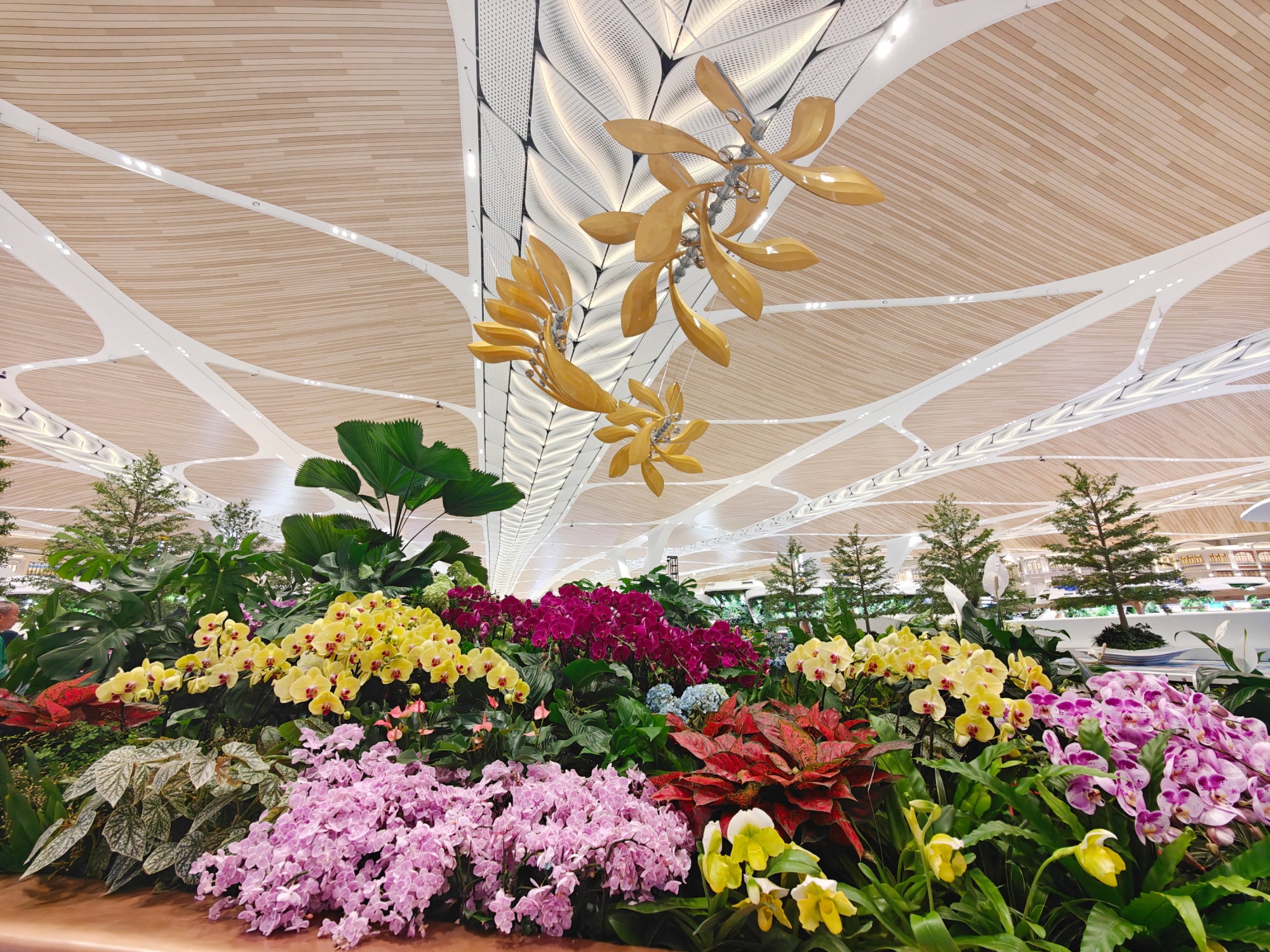 T3航站楼以“花开羊城·羊城花冠”为设计主题。人民网记者 王雅蝶摄