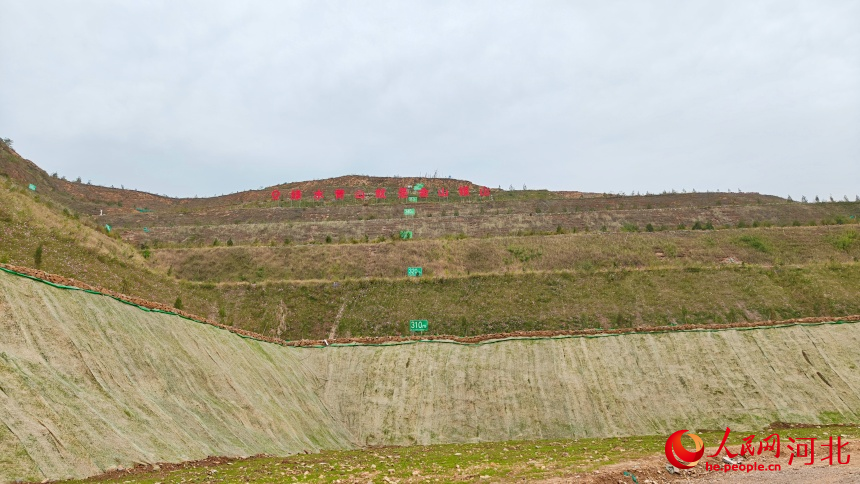 邢台胜合华建材有限公司“边采边治”进行生态修复。人民网记者 杨文娟摄