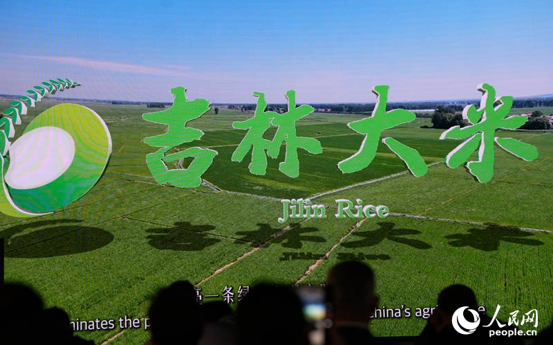 与会嘉宾深入了解吉林大米。人民网记者 李洋摄