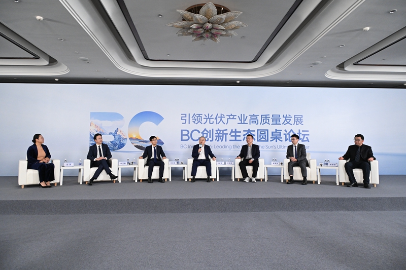 圆桌论坛现场。受访者供图