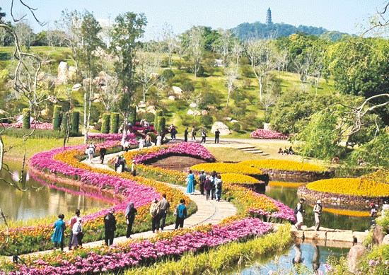 &nbsp;第十届青秀山菊花展正值最佳观赏期，吸引众多市民游客前来打卡。记者潘浩 摄