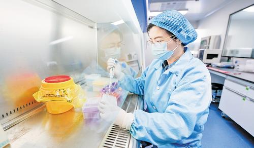 11月21日,在雄安妙心生物科技有限公司基因检测实验室内,河北工程大学医学院检验系教授王珍在进行病原微生物核酸提取工作。 本组图片由本报见习记者李畅摄