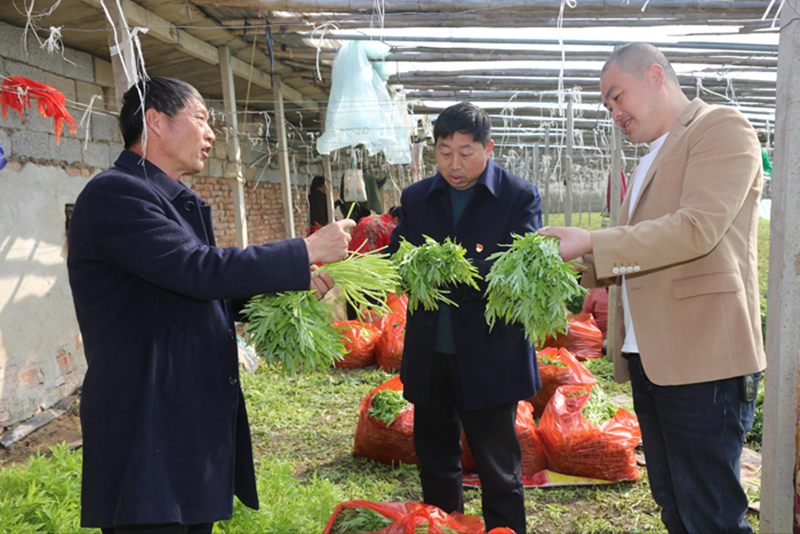 灌云烟草赴南岗产业园区调研。受访者供图