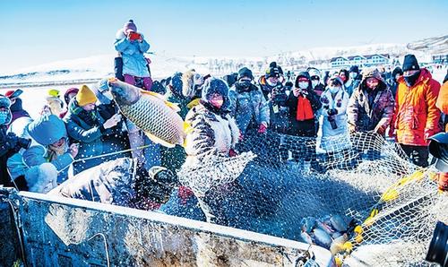 在沽源县库伦淖尔旅游度假区，渔民们进行冰上捕鱼，吸引了大批游客。田明摄